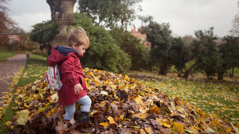 A child wearing a warm coat and boots kicks up a pile of leaves on the lawn, with an ornamental urn behind